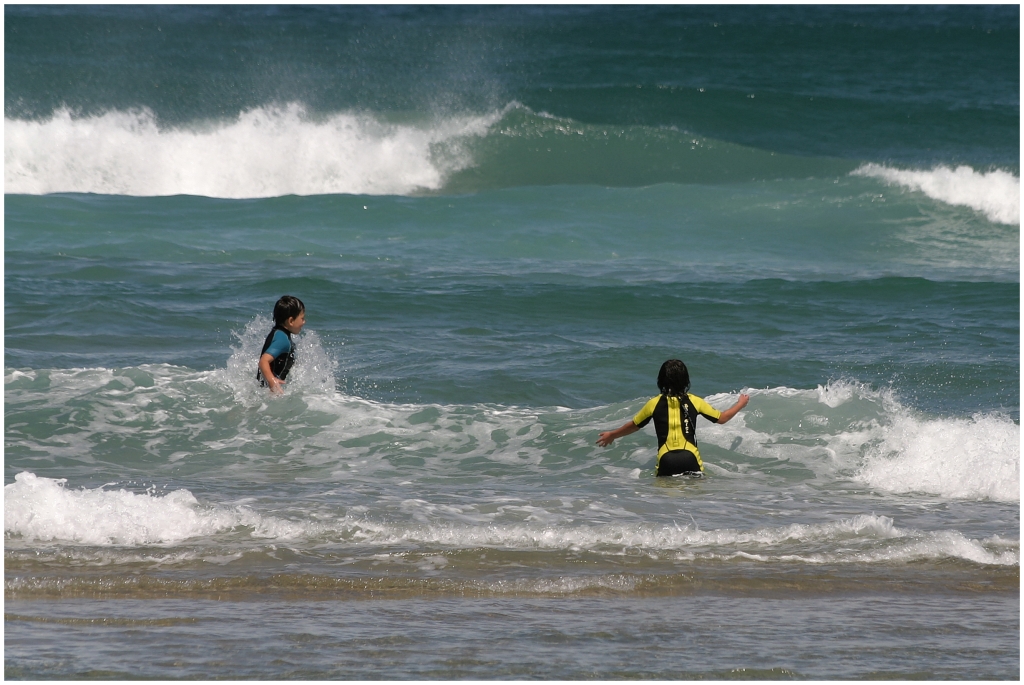 04 - Presqu'ile d'Otago (18).jpg